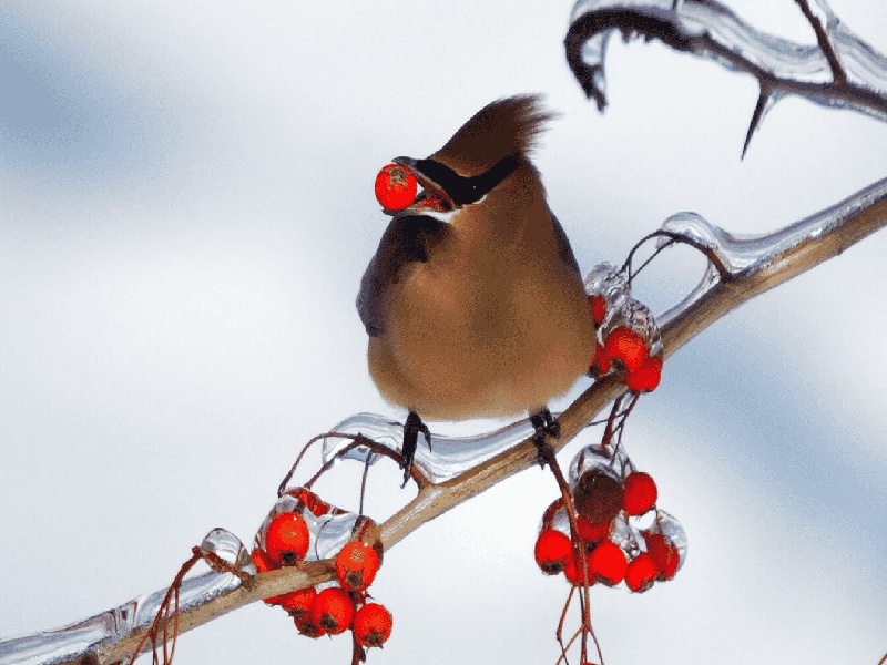 <strong>试管捆扎的方法（试管婴儿几代费用多少）</strong>